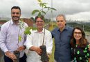 Prefeitura realiza plantio de mudas nativas e inicia regeneração ambiental no Centro de Eventos Mauro Brito